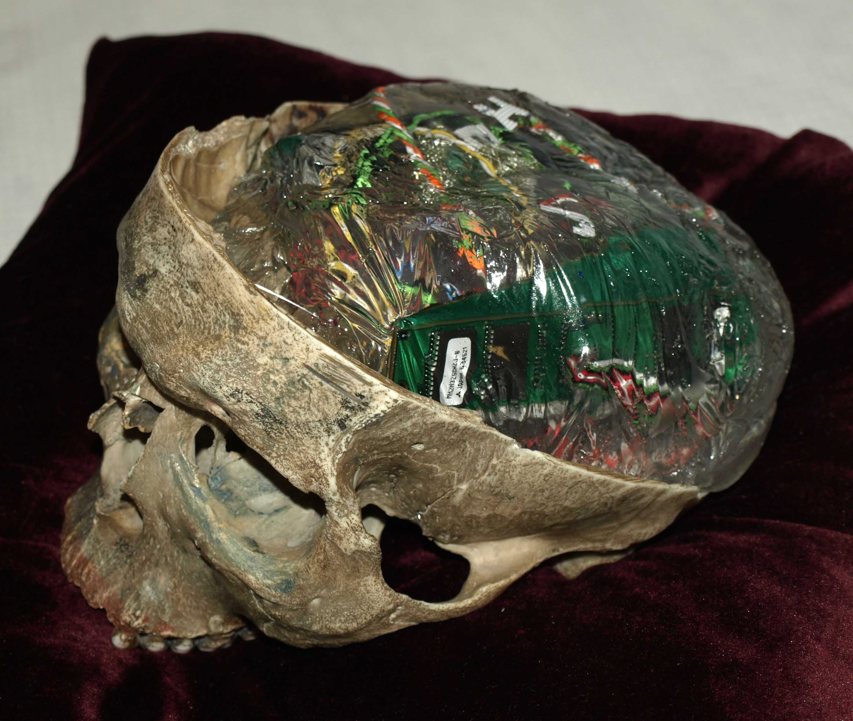 Skull1