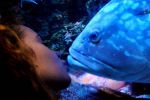 Bild_16