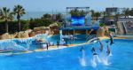 Bild_31