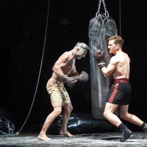 Der BOXER
