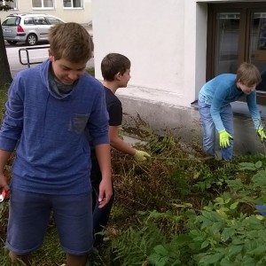3a_garten3
