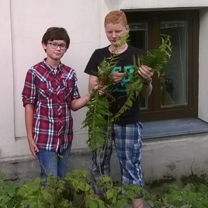 garten_1