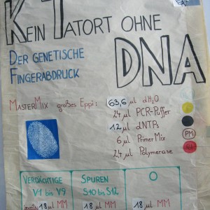 VieOpLab_1