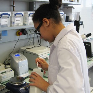 VieOpLab_4