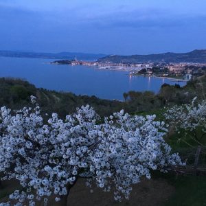 IMG_0199