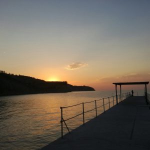 IMG_0260