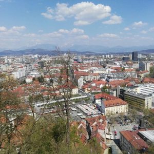 IMG_0286