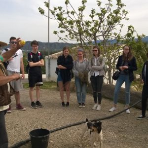 WP_20170330_027