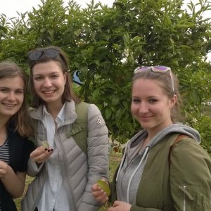 WP_20170330_039