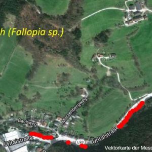 GPS-basierte Online-Kartierung