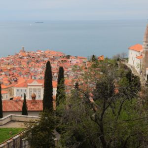 img_2626