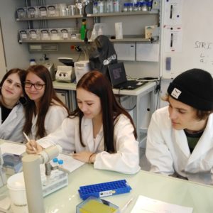 vieoplab3