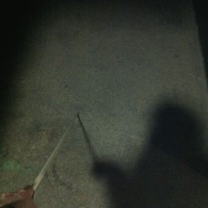 textbild1-e1400080075868