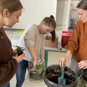 helene-caroline-julia