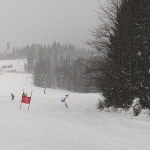img_20230202_120537
