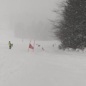 img_20230202_130321