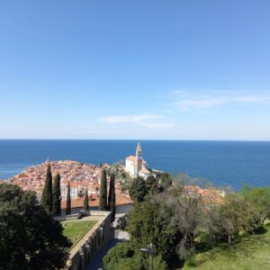 tag-3-piran-3