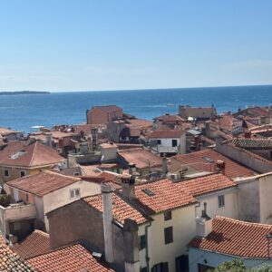 tag-3-piran-4